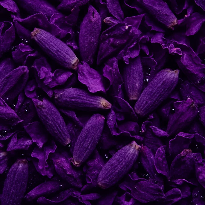 Lavender Oil