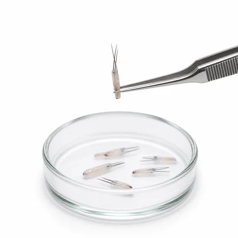 Hair Transplants